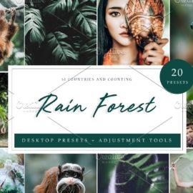 CreativeMarket – Rain Forest Lightroom Presets 4594909