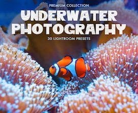 CreativeMarket – Underwater Photography Presets 4725471