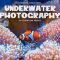 CreativeMarket – Underwater Photography Presets 4725471