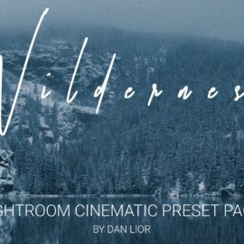 CreativeMarket – WILDRENESS || Cinematic Preset Pack 4570533