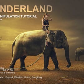 Dheny Patungka – Wonderland Photo Manipulation Tutorial