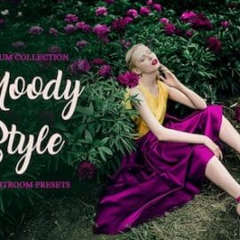 Moody Style Presets for Lightroom Free Download