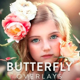 Bellevue – Butterfly Overlays Free Download