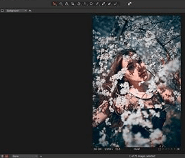 Working with styles in Capture One Pro