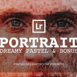 CreativeMarket – Portrait Lightroom Presets 2906188