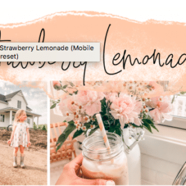 Allie Boss – Strawberry Lemonade (Mobile Lightroom Preset)