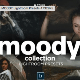 CreativeMarket – MOODY Lightroom Presets 4732975