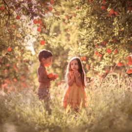 Elena Shumilova – 1712 Editing Video