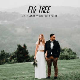 Andrewsuncolor – Fig Tree Lightroom Presets