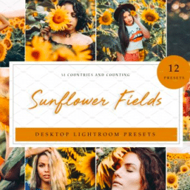 CreativeMarket – Sunflower Field Presets | Desktop 4792014