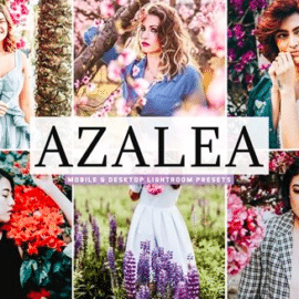 CreativeMarket – Azalea Mobile & Desktop Lightroom Presets 4742189