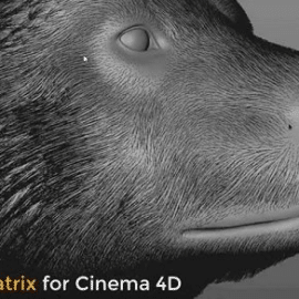 Ornatrix v1.0.0.21988 for Cinema 4D Free Download