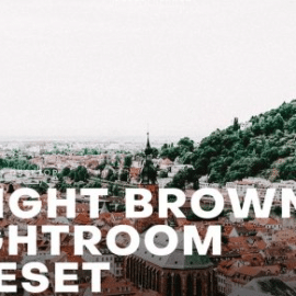 CreativeMarket – Bright and Brown Lightroom Preset 4552387