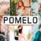 Pomelo Mobile & Desktop Lightroom Presets