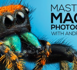 Fstoppers – Mastering Macro Photography – The Complete Shooting and Editing Tutorial – Andres Moline