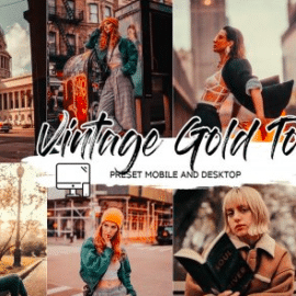 CreativeMarket – Vintage – Lightroom Preset + LUT 4779111