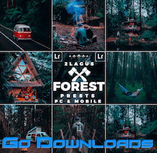 GraphicRiver – Forest Moody-Travel Presets for Mobile and Desktop Lightroom 26365043