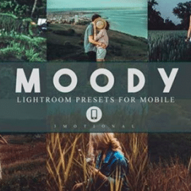 14 Moody Mobile Lightroom Presets 3983765