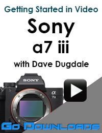 Sony a7iii Getting Started in Video