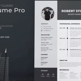 Business Consultant Resume Pro Bundle Free Download