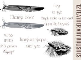 CreativeMarket Feather brushes for illustrator Free Download