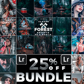 Graphicriver Artistic Collection Bundle Presets (Mobile & Desktop) Free Download