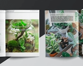 Plant Lyfe | Magazine Free Download