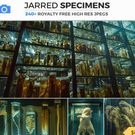 PhotoBash – JARRED SPECIMENS Free Download