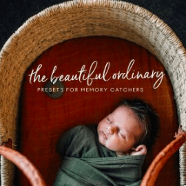 Michelle McKay – The Beautiful Ordinary Presets for Memory Catchers