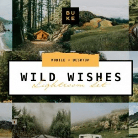 CreativeMarket – Wild Wishes – 6 Lightroom Presets 4876700