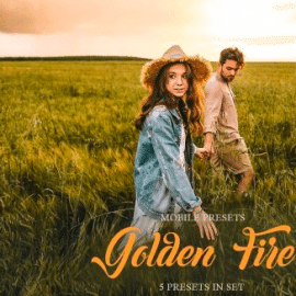 CreativeMarket – Golden Fire Mobile Presets 4032748