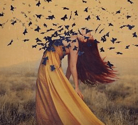 Fine Art Photography: The Complete Guide by Brooke Shaden (Updated)