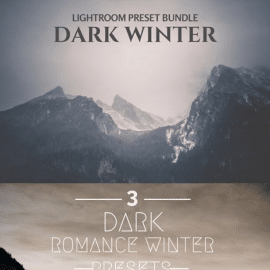 CM – Dark Winter 3 LR Preset Bundle 178740