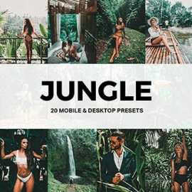 GraphicRiver – 20 Jungle Lightroom Presets and LUTs 26674189