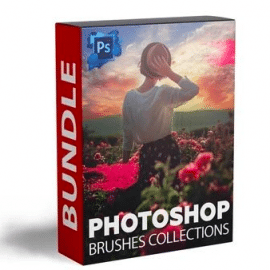 TimeForDeals – 2500+ PHOTOSHOP BRUSHES Free Download