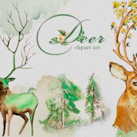 Watercolor Deer Clipart Set 4185014 Free Download