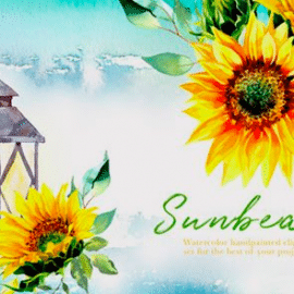 Watercolor Sunbeam Clipart Set 4185085 Free Download