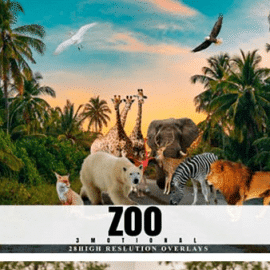 28 Zoo Overlays Realistic Wild Animal 4245475