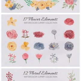 65 Flower and Floral Watercolor Clipart 4178303