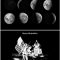 8 High Quality Moon Brushes 1836040 Free Download