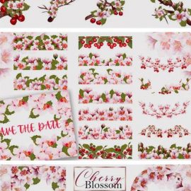 Acrylic Cherry Blossom Collection 4325648