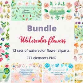 Bundle. Watercolor Flowers. Clipart 4235609