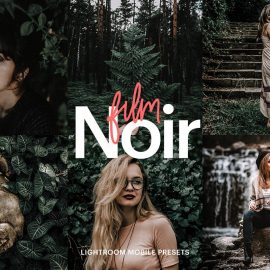 CreativeMarket – Lightroom Preset-Film Noir Theme 4973155