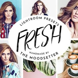 CreativeMarket – Lightroom presets Desktop + Mobile 4871216