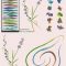 CreativeMarket Nature Brushes for Illustrator 3592451 Free Download