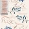 CreativeMarket Rose Gold Brushes for Illustrator 3595429 Free Download