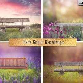 Creativemarket Park Bench Backdrops Free Download