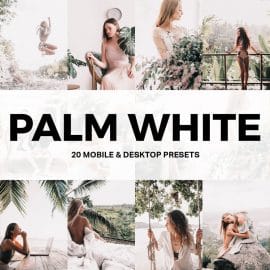 DesignBundles – 20 Palm White Lightroom Presets and LUTs 600169