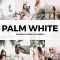 DesignBundles – 20 Palm White Lightroom Presets and LUTs 600169