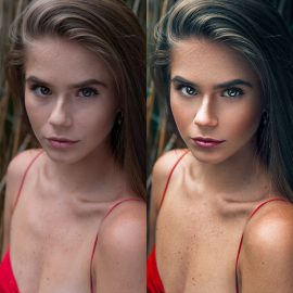 Dupe’s Portrait Editing Tutorial Free Download